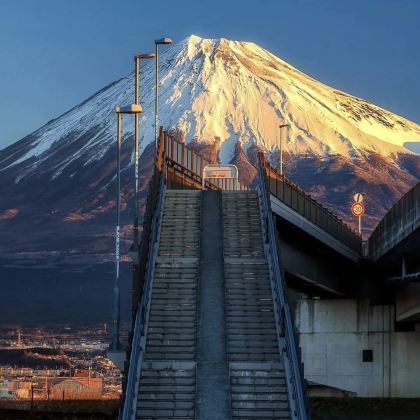 日本东京+富士河口湖町+富士山+箱根6日5晚拼小团 日本东京+富士河口湖町+富士山+箱根6日5晚拼小团