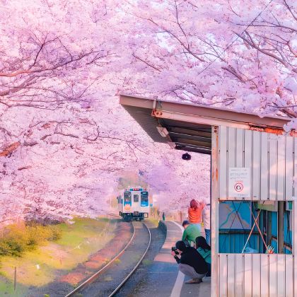 大阪+富士山+镰仓市6日6晚跟团游