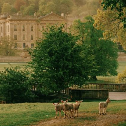 英国9日私家团 英国9日私家团