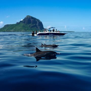 毛里求斯+七色土+塞尔夫岛10日8晚私家团 毛里求斯+七色土+塞尔夫岛10日8晚私家团