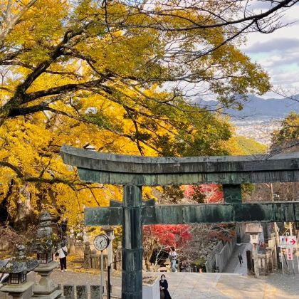 神户+高松+直岛町+鸟取县6日5晚私家团 神户+高松+直岛町+鸟取县6日5晚私家团