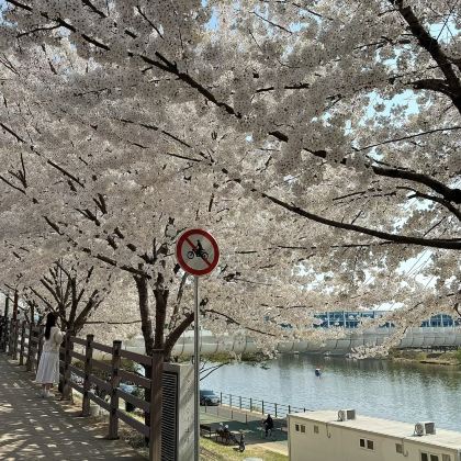 釜山+庆州+大邱6日5晚私家团 釜山+庆州+大邱6日5晚私家团