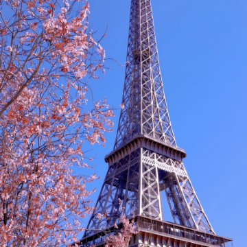 荷兰+法国12日11晚拼小团 荷兰+法国12日11晚拼小团