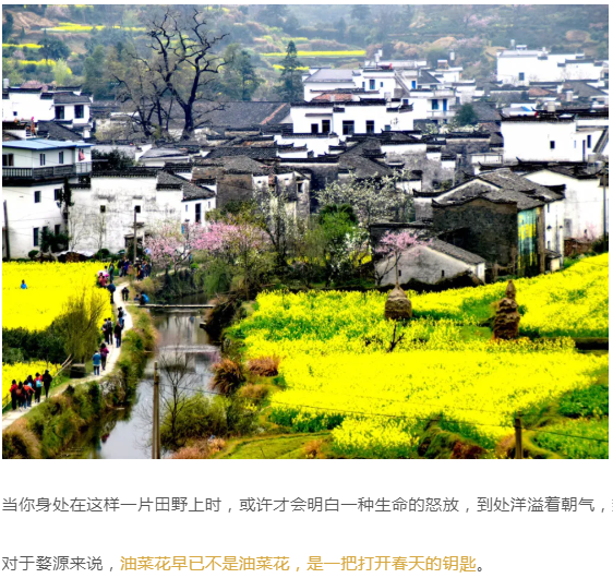 越野自驾江西婺源江岭赏油菜花海上饶三清山风景区安徽宏村宏村景区