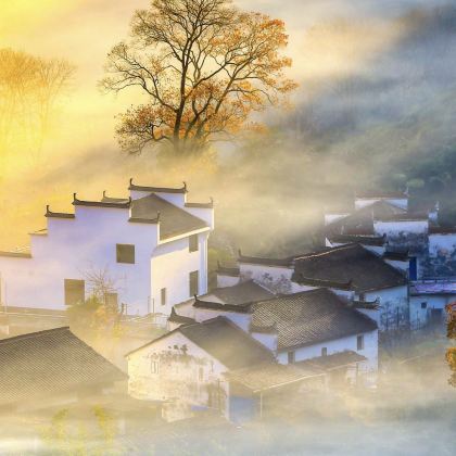 黄山风景区+千岛湖+宏村+婺源5日4晚跟团游 黄山风景区+千岛湖+宏村+婺源5日4晚跟团游