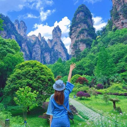 张家界+武陵源+天门山+凤凰古城4日3晚私家团 张家界+武陵源+天门山+凤凰古城4日3晚私家团