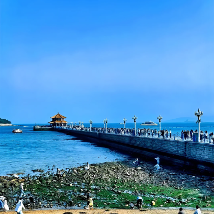 青岛+威海+荣成6日5晚自由行 青岛+威海+荣成6日5晚自由行