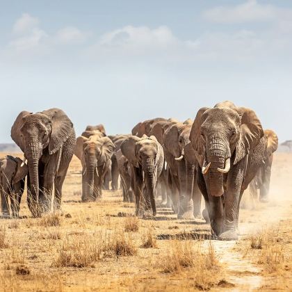 肯尼亚马赛马拉国家公园+肯尼亚山+奈瓦沙7日6晚私家团 肯尼亚马赛马拉国家公园+肯尼亚山+奈瓦沙7日6晚私家团