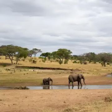 坦桑尼亚10日9晚私家团 坦桑尼亚10日9晚私家团