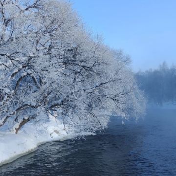 哈尔滨+伊春6日5晚拼小团 哈尔滨+伊春6日5晚拼小团