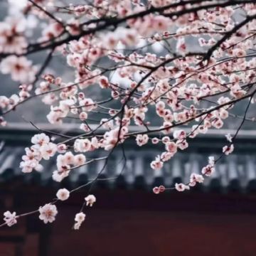 江西庐山3日2晚拼小团 江西庐山3日2晚拼小团