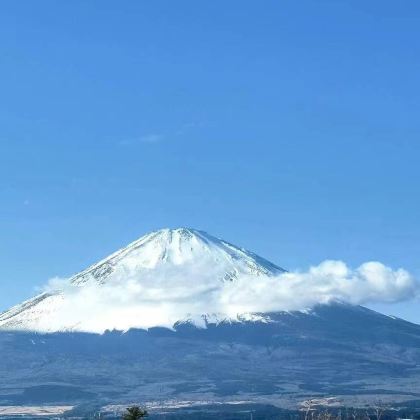 日本东京+伊豆市+横滨+大阪+和歌山市8日7晚私家团 日本东京+伊豆市+横滨+大阪+和歌山市8日7晚私家团
