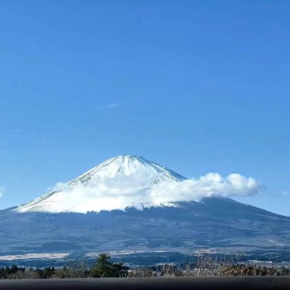 日本东京+河口湖+箱根+伊豆7日6晚私家团 日本东京+河口湖+箱根+伊豆7日6晚私家团