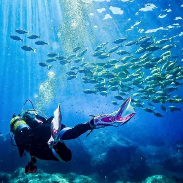 西班牙马略卡岛+阿尔库蒂亚3日2晚私家团 西班牙马略卡岛+阿尔库蒂亚3日2晚私家团