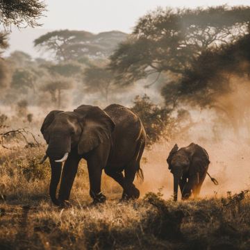 肯尼亚马赛马拉国家公园+甜水野生动物保护区+肯尼亚山动物孤儿院+奈瓦沙7日6晚私家团 肯尼亚马赛马拉国家公园+甜水野生动物保护区+肯尼亚山动物孤儿院+奈瓦沙7日6晚私家团