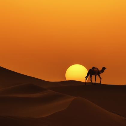 摩洛哥卡萨布兰卡-塞塔特大区+马拉喀什+瓦尔扎扎特+非斯+舍夫沙万+丹吉尔+艾西拉+拉巴特+撒哈拉沙漠8日7晚跟团游 摩洛哥卡萨布兰卡-塞塔特大区+马拉喀什+瓦尔扎扎特+非斯+舍夫沙万+丹吉尔+艾西拉+拉巴特+撒哈拉沙漠8日7晚跟团游