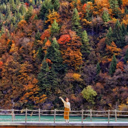 成都+九寨沟+毕棚沟+达古冰川风景名胜区+黄龙风景名胜区6日5晚私家团 成都+九寨沟+毕棚沟+达古冰川风景名胜区+黄龙风景名胜区6日5晚私家团