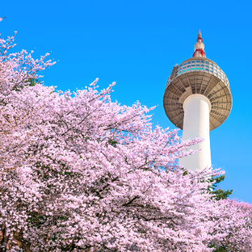 韩国首尔+釜山+大邱+安东市6日5晚跟团游 韩国首尔+釜山+大邱+安东市6日5晚跟团游