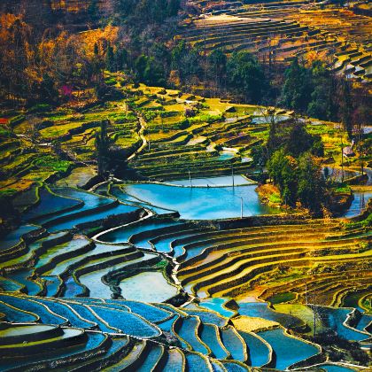 昆明+罗平+建水+元阳3日2晚私家团 昆明+罗平+建水+元阳3日2晚私家团