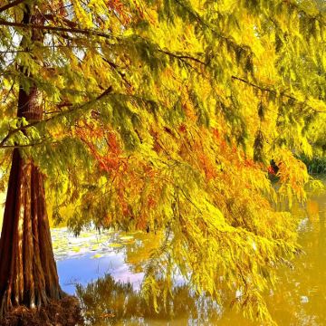 南京+扬州6日5晚私家团 南京+扬州6日5晚私家团