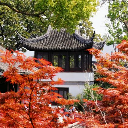 杭州+乌镇+苏州+上海6日5晚私家团 杭州+乌镇+苏州+上海6日5晚私家团