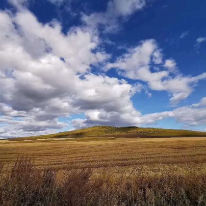 内蒙古呼伦贝尔+额尔古纳+满洲里5日4晚跟团游 内蒙古呼伦贝尔+额尔古纳+满洲里5日4晚跟团游
