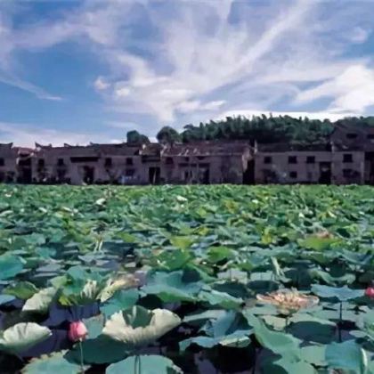 湖南郴州流华湾荷花古村+711矿俱乐部+半条被子故事发生地旧址3日2晚跟团游 湖南郴州流华湾荷花古村+711矿俱乐部+半条被子故事发生地旧址3日2晚跟团游