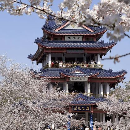 南京玄武湖景区+常州天宁寺+无锡灵山大佛5日4晚私家团 南京玄武湖景区+常州天宁寺+无锡灵山大佛5日4晚私家团