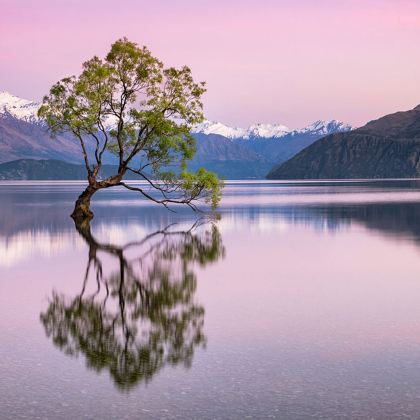 澳大利亚+新西兰16日跟团游 澳大利亚+新西兰16日跟团游