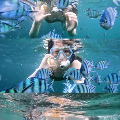 民丹岛+新加坡+马六甲8日7晚私家团 民丹岛+新加坡+马六甲8日7晚私家团