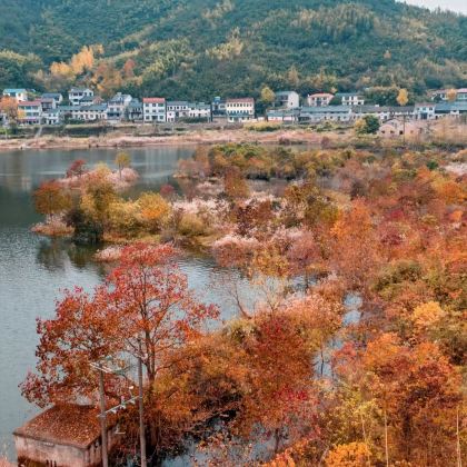 浙江湖州莫干山风景名胜区+下渚湖·湿地公园+莫干山镇民国风情街+塘栖古镇3日2晚跟团游 浙江湖州莫干山风景名胜区+下渚湖·湿地公园+莫干山镇民国风情街+塘栖古镇3日2晚跟团游