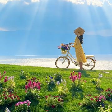 大理市4日3晚拼小团 大理市4日3晚拼小团