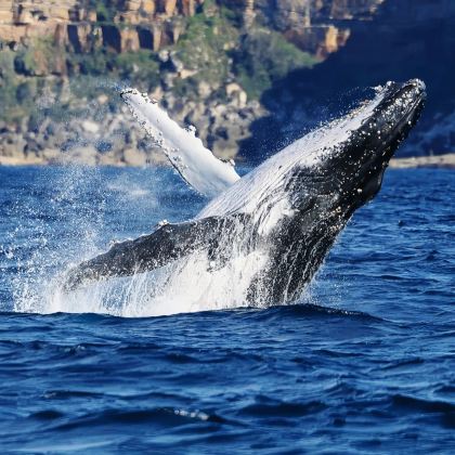 新西兰基督城+皇后镇15日14晚私家团 新西兰基督城+皇后镇15日14晚私家团