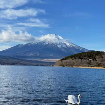 日本东京+富士山2日自由行 日本东京+富士山2日自由行