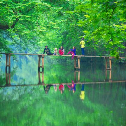 黄山+宏村+西递+西溪南古村落4日3晚私家团 黄山+宏村+西递+西溪南古村落4日3晚私家团
