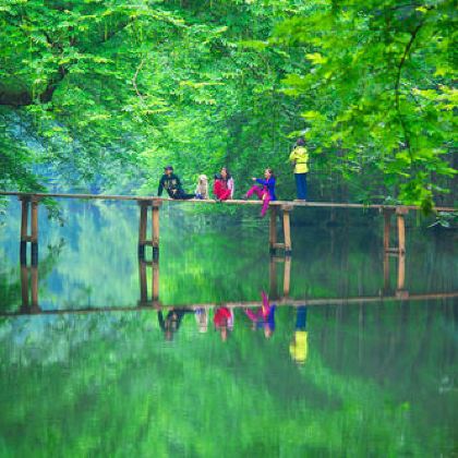 黄山风景区+宏村+西递4日3晚私家团