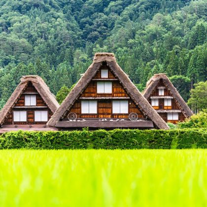 日本大阪+京都+奈良+富士山+东京7日6晚跟团游 日本大阪+京都+奈良+富士山+东京7日6晚跟团游