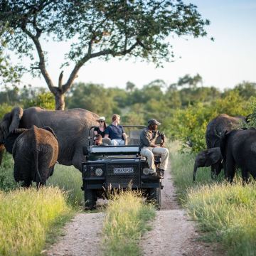 南非+纳米比亚+津巴布韦+赞比亚+博茨瓦纳16日跟团游 南非+纳米比亚+津巴布韦+赞比亚+博茨瓦纳16日跟团游
