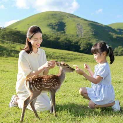 日本大阪+京都+奈良6日5晚私家团 日本大阪+京都+奈良6日5晚私家团