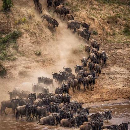 肯尼亚马赛马拉国家公园+甜水野生动物保护区+肯尼亚山动物孤儿院+奈瓦沙8日7晚私家团 肯尼亚马赛马拉国家公园+甜水野生动物保护区+肯尼亚山动物孤儿院+奈瓦沙8日7晚私家团