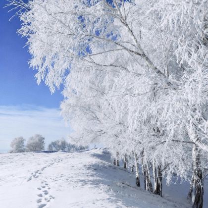 张家口+崇礼区+密苑云顶乐园4日3晚自由行 张家口+崇礼区+密苑云顶乐园4日3晚自由行