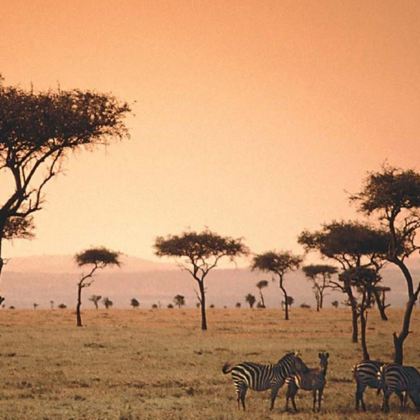 肯尼亚+内罗毕12日9晚私家团 肯尼亚+内罗毕12日9晚私家团