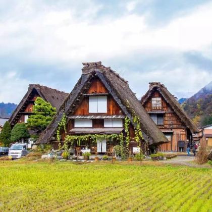 日本名古屋+飞驒高山+白川乡2日1晚私家团 日本名古屋+飞驒高山+白川乡2日1晚私家团