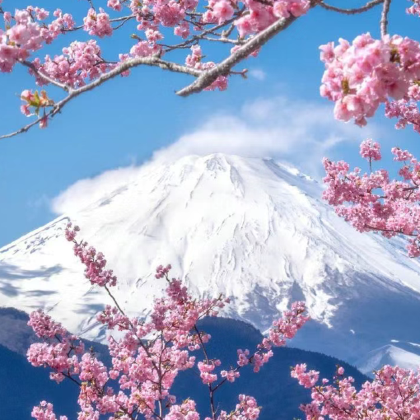 日本东京+富士山7日6晚自由行 日本东京+富士山7日6晚自由行