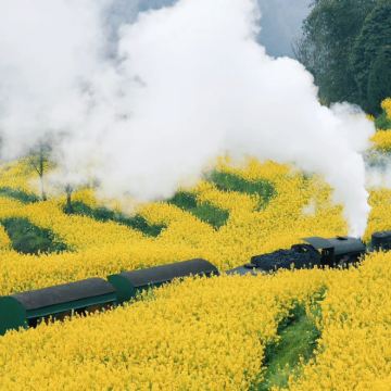 乐山+嘉阳小火车+大渡河金口大峡谷景区2日1晚私家团 乐山+嘉阳小火车+大渡河金口大峡谷景区2日1晚私家团