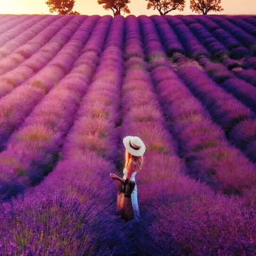 普罗旺斯-阿尔卑斯-蓝色海岸大区5日跟团游 普罗旺斯-阿尔卑斯-蓝色海岸大区5日跟团游