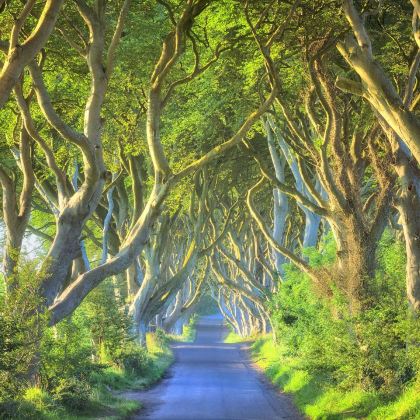 爱尔兰5日4晚私家团 爱尔兰5日4晚私家团