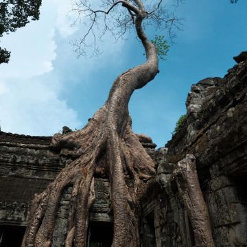 越南胡志明市+柬埔寨暹粒+老挝琅勃拉邦+万荣+万象10日9晚私家团 越南胡志明市+柬埔寨暹粒+老挝琅勃拉邦+万荣+万象10日9晚私家团