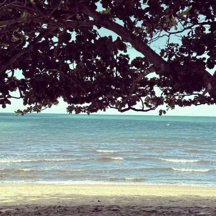 凯恩斯+道格拉斯港+库兰达+帕罗尼拉公园6日5晚私家团 凯恩斯+道格拉斯港+库兰达+帕罗尼拉公园6日5晚私家团