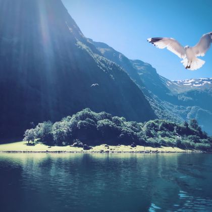 芬兰+丹麦+挪威+瑞典12日跟团游 芬兰+丹麦+挪威+瑞典12日跟团游